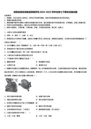 陕西省西安高新逸翠园学校2024-2025学年生物七下期末经典试题含解析