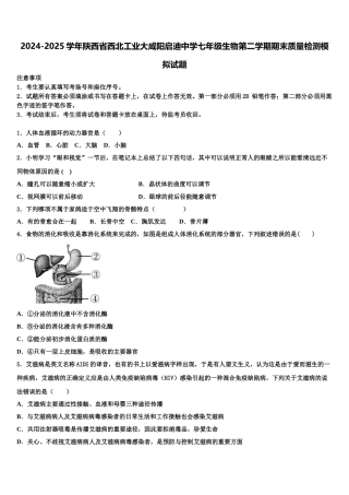 2024-2025学年陕西省西北工业大咸阳启迪中学七年级生物第二学期期末质量检测模拟试题含解析