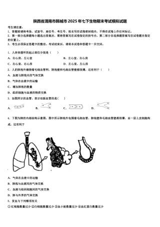 陕西省渭南市韩城市2025年七下生物期末考试模拟试题含解析