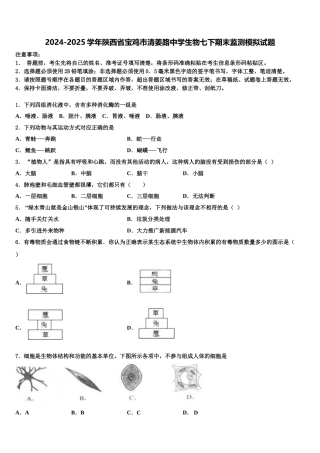 2024-2025学年陕西省宝鸡市清姜路中学生物七下期末监测模拟试题含解析