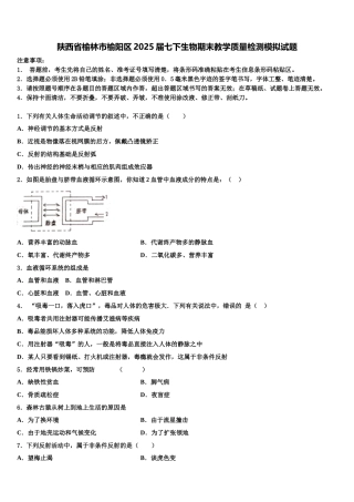 陕西省榆林市榆阳区2025届七下生物期末教学质量检测模拟试题含解析