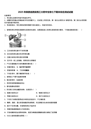 2025年陕西省西安西工大附中生物七下期末综合测试试题含解析