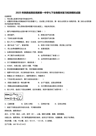 2025年陕西省西安高新第一中学七下生物期末复习检测模拟试题含解析