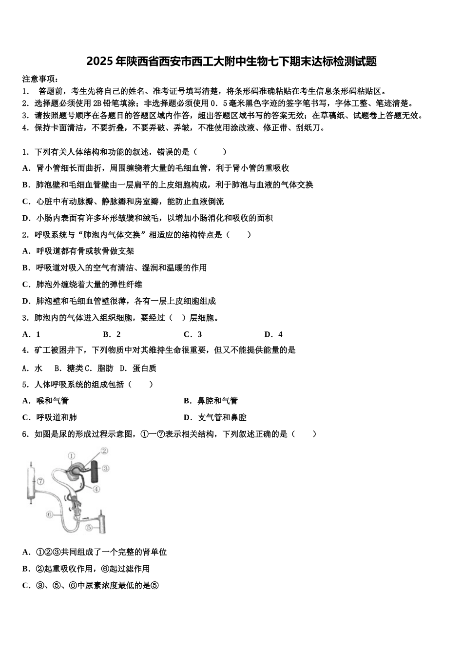 2025年陕西省西安市西工大附中生物七下期末达标检测试题含解析_第1页
