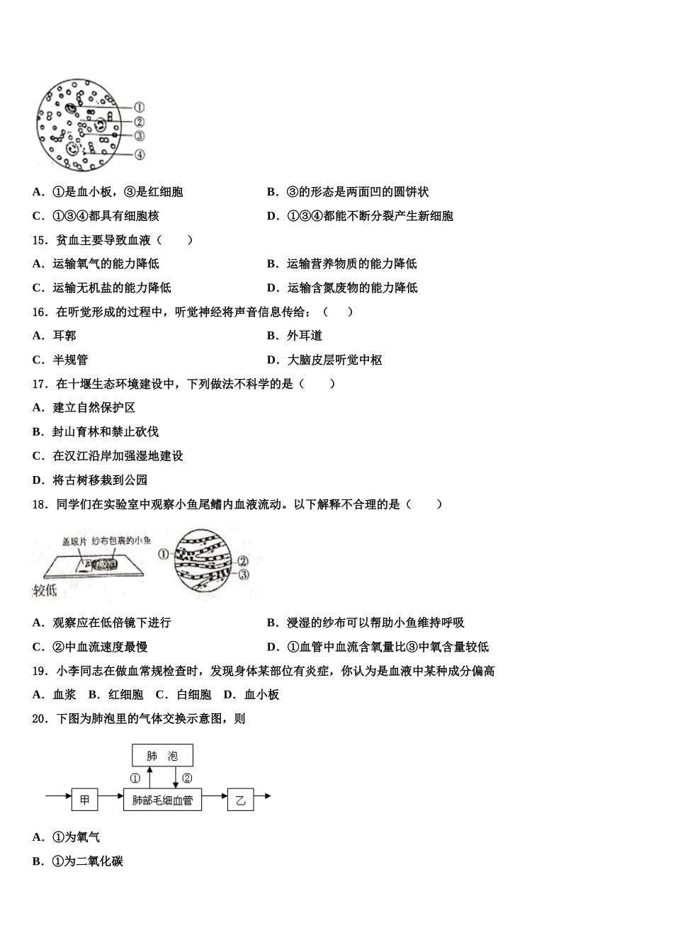 浙江省丽水地区五校联考2025届生物七下期末复习检测模拟试题含解析_第3页