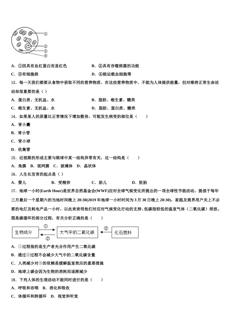 浙江省温州市温州实验中学2025届生物七年级第二学期期末质量检测试题含解析_第3页