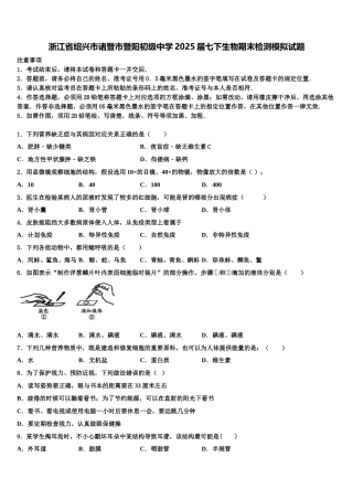 浙江省绍兴市诸暨市暨阳初级中学2025届七下生物期末检测模拟试题含解析