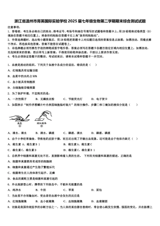 浙江省温州市育英国际实验学校2025届七年级生物第二学期期末综合测试试题含解析
