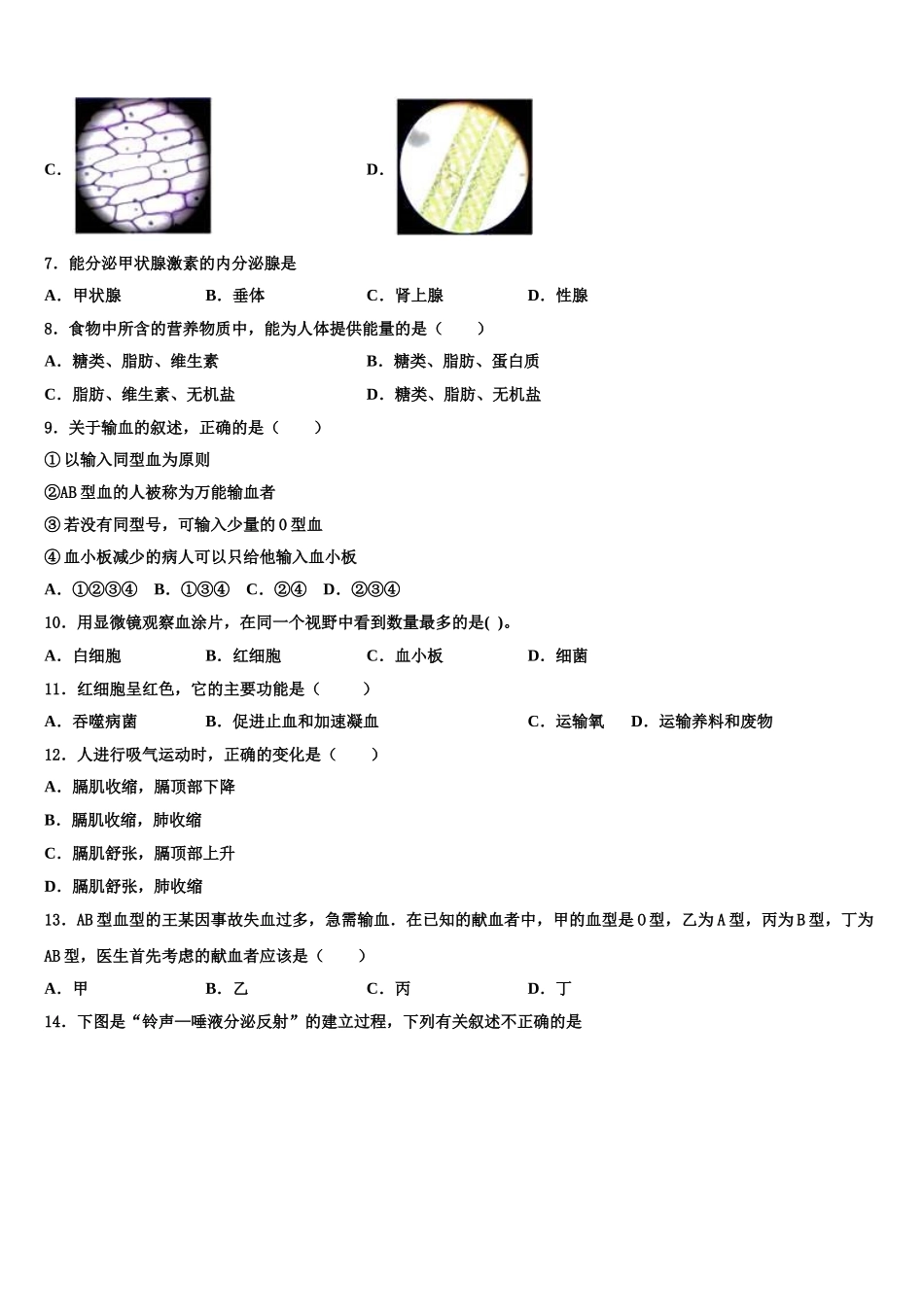 2024-2025学年浙江省嘉兴市秀洲外国语学校七年级生物第二学期期末监测模拟试题含解析_第2页