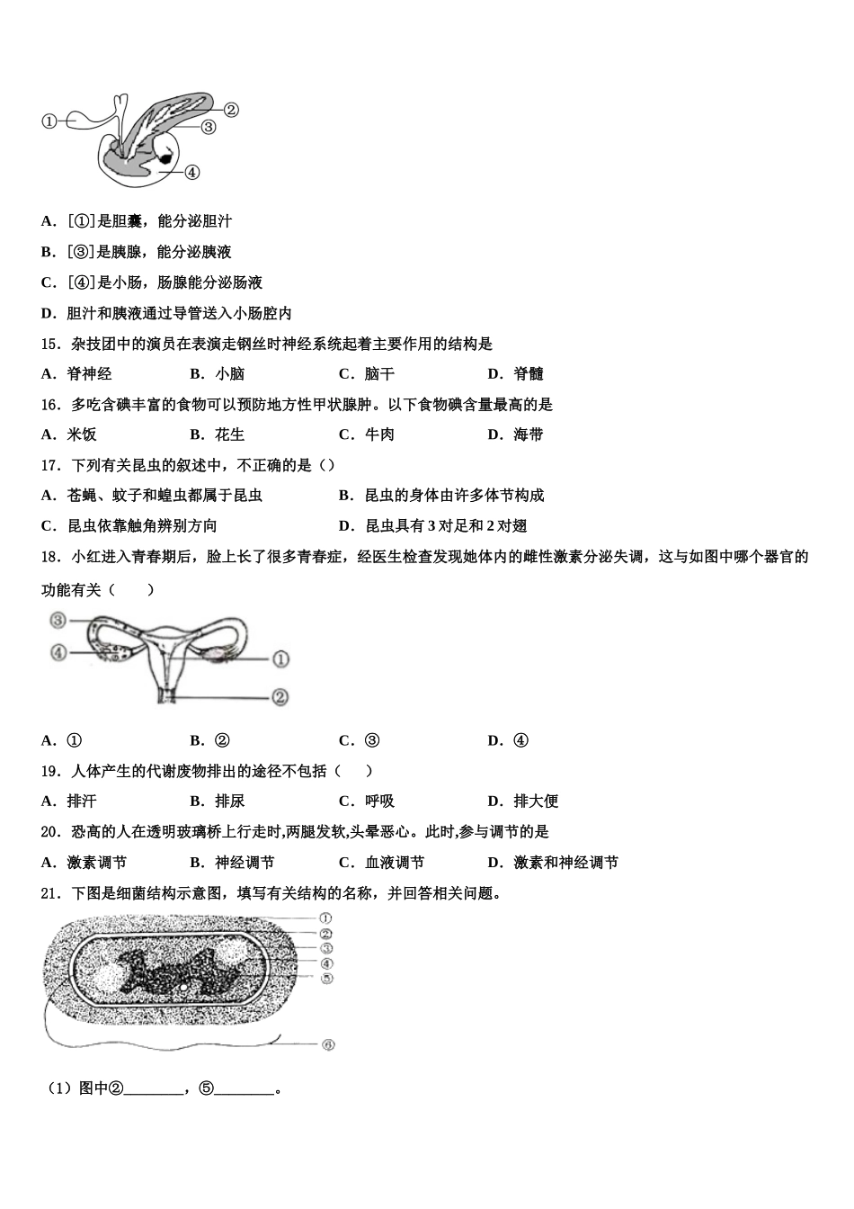 新疆维吾尔自治区喀什第二中学2025年生物七下期末质量检测试题含解析_第3页