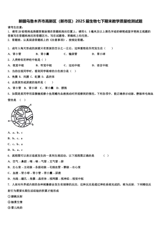新疆乌鲁木齐市高新区（新市区）2025届生物七下期末教学质量检测试题含解析