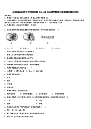 新疆昌吉市教育共同体四校2025届七年级生物第二学期期末预测试题含解析