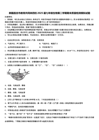 新疆昌吉市教育共同体四校2025届七年级生物第二学期期末质量检测模拟试题含解析