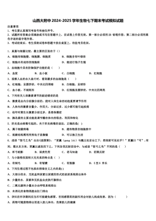 山西大附中2024-2025学年生物七下期末考试模拟试题含解析