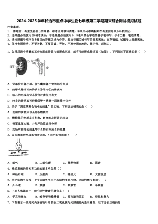 2024-2025学年长治市重点中学生物七年级第二学期期末综合测试模拟试题含解析