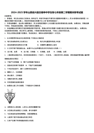 2024-2025学年山西省兴县交楼申中学生物七年级第二学期期末联考试题含解析