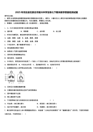 2025年河北省石家庄市复兴中学生物七下期末教学质量检测试题含解析