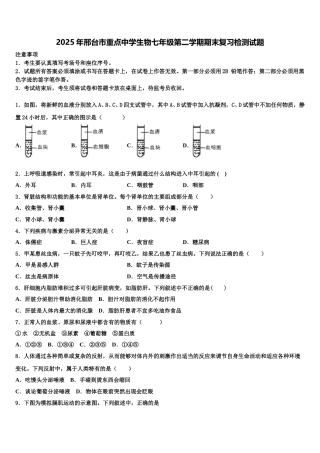 2025年邢台市重点中学生物七年级第二学期期末复习检测试题含解析