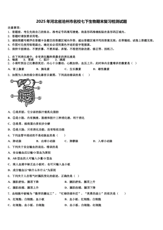 2025年河北省沧州市名校七下生物期末复习检测试题含解析