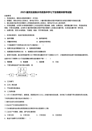 2025届河北省衡水市武邑中学七下生物期末联考试题含解析
