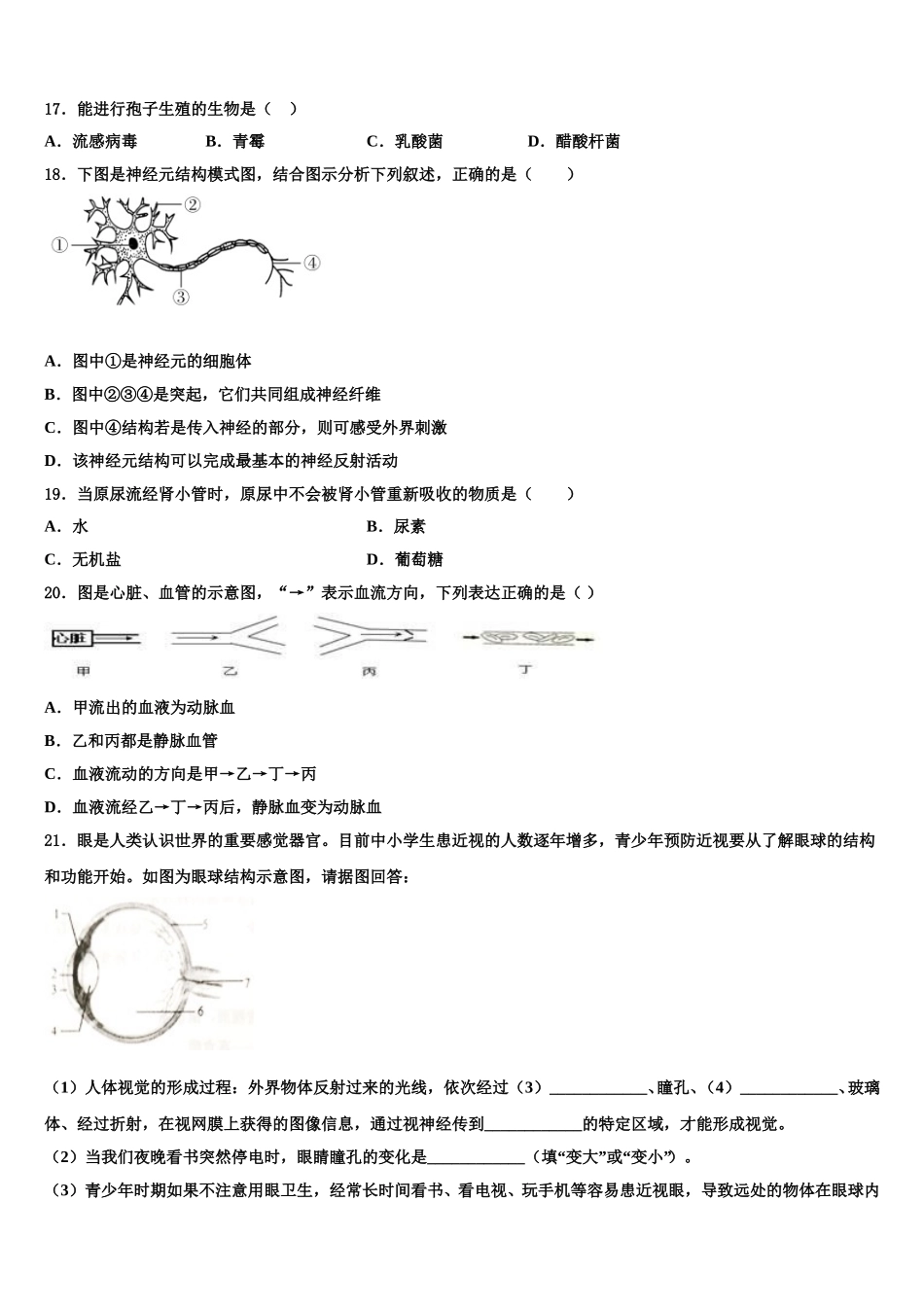 2024-2025学年河北省石家庄市七年级生物第二学期期末复习检测试题含解析_第3页