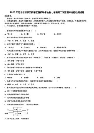 2025年河北省张家口桥东区五校联考生物七年级第二学期期末达标检测试题含解析