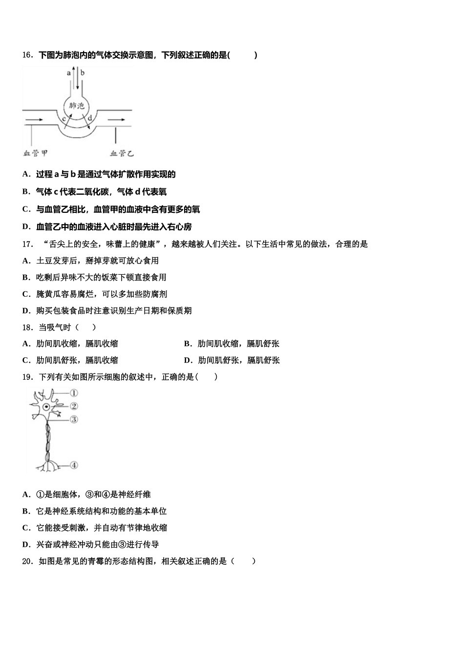 2025届河北省大城县生物七下期末复习检测试题含解析_第3页
