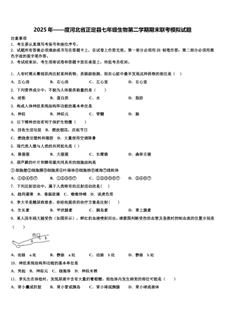 2025年——度河北省正定县七年级生物第二学期期末联考模拟试题含解析