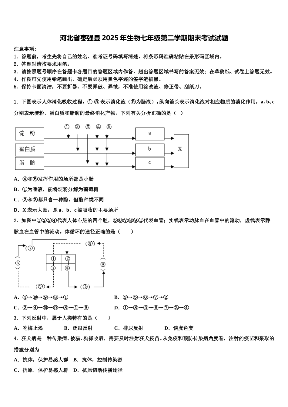 河北省枣强县2025年生物七年级第二学期期末考试试题含解析_第1页