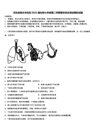 河北省衡水市名校2025届生物七年级第二学期期末综合测试模拟试题含解析