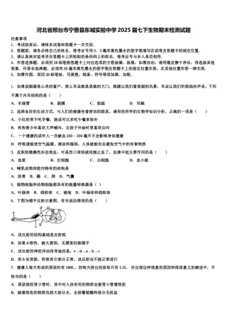 河北省邢台市宁晋县东城实验中学2025届七下生物期末检测试题含解析