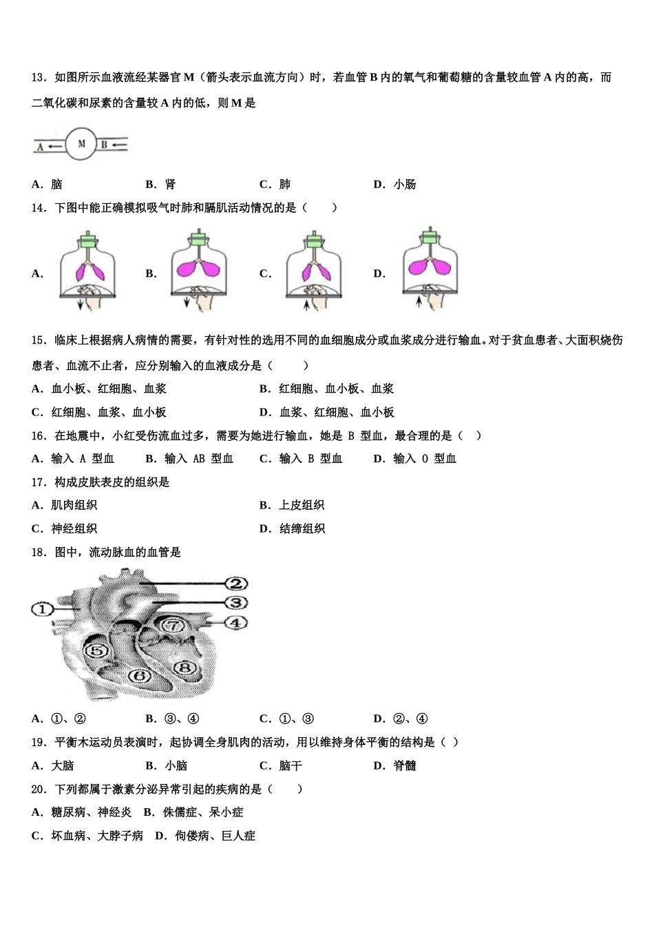 2025届河北省保定市第十七中学生物七下期末联考试题含解析_第3页