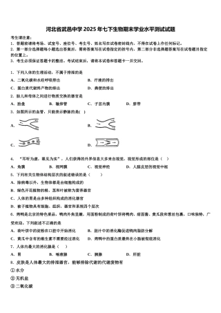 河北省武邑中学2025年七下生物期末学业水平测试试题含解析