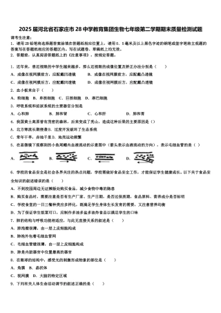 2025届河北省石家庄市28中学教育集团生物七年级第二学期期末质量检测试题含解析