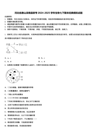 河北省唐山滦南县联考2024-2025学年生物七下期末经典模拟试题含解析