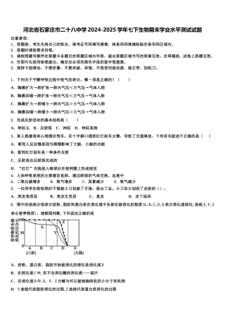 河北省石家庄市二十八中学2024-2025学年七下生物期末学业水平测试试题含解析