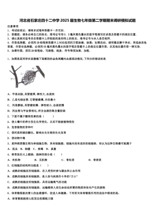 河北省石家庄四十二中学2025届生物七年级第二学期期末调研模拟试题含解析