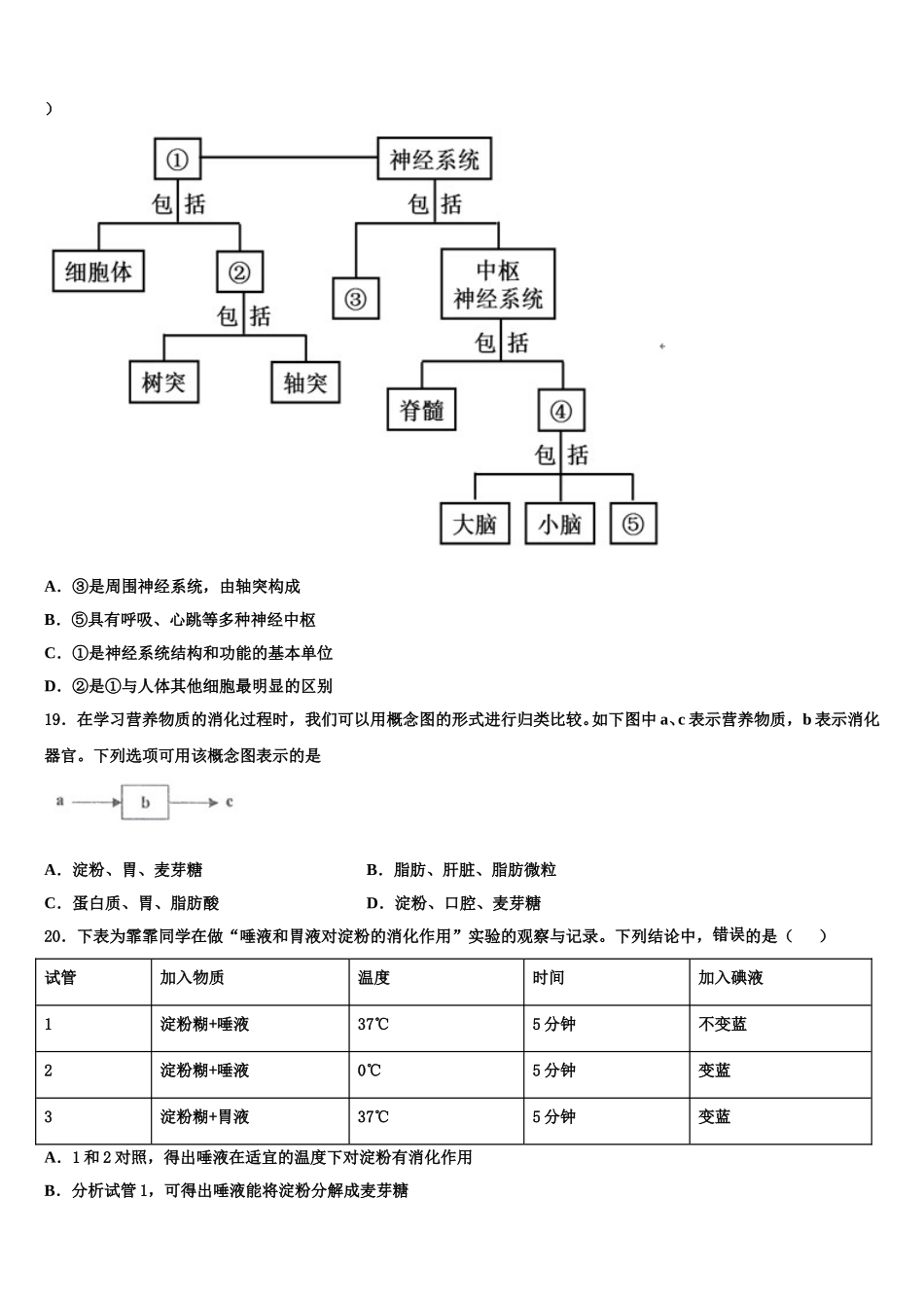 2024-2025学年河北省泊头市生物七下期末学业水平测试试题含解析_第3页