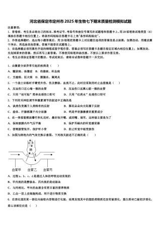 河北省保定市定州市2025年生物七下期末质量检测模拟试题含解析