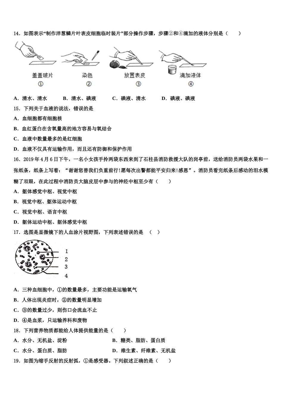 2024-2025学年河北省邢台市名校七下生物期末质量跟踪监视模拟试题含解析_第3页