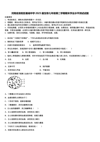 河南省淮阳区羲城中学2025届生物七年级第二学期期末学业水平测试试题含解析