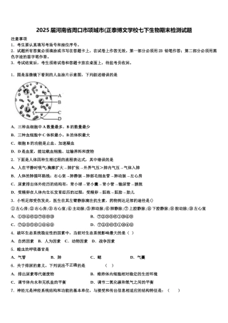 2025届河南省周口市项城市(正泰博文学校七下生物期末检测试题含解析