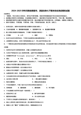 2024-2025学年河南省鹤壁市、淇县生物七下期末综合测试模拟试题含解析