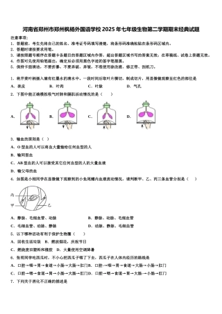 河南省郑州市郑州枫杨外国语学校2025年七年级生物第二学期期末经典试题含解析