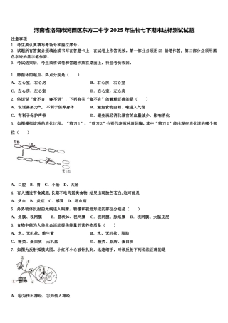 河南省洛阳市涧西区东方二中学2025年生物七下期末达标测试试题含解析