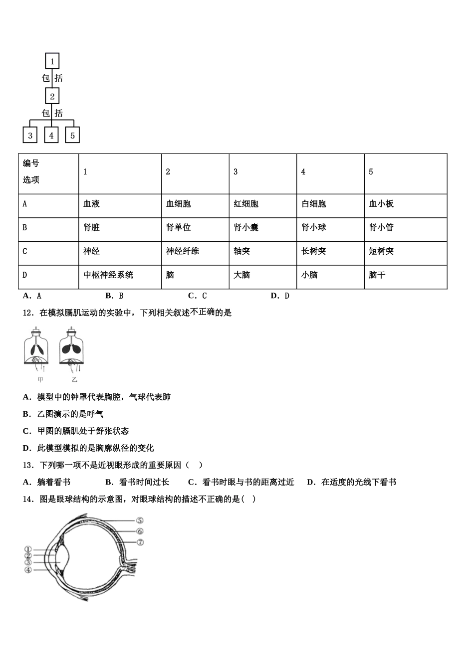 河南省郑州市郑中学国际学校2024-2025学年生物七年级第二学期期末教学质量检测模拟试题含解析_第3页