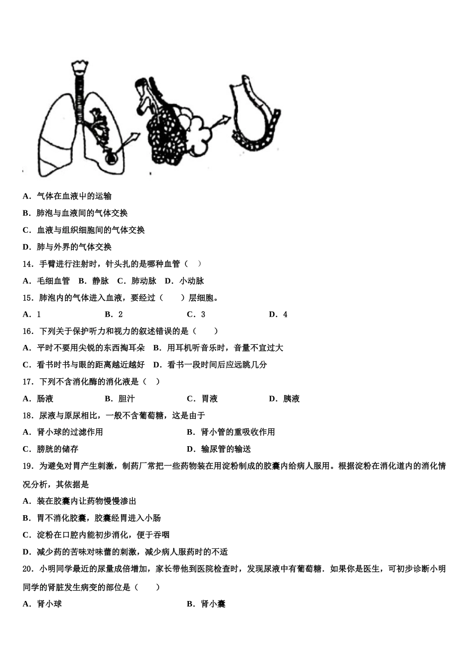 2024-2025学年河南省上蔡县七年级生物第二学期期末调研试题含解析_第3页