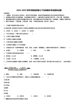 2024-2025学年河南省辉县七下生物期末考试模拟试题含解析