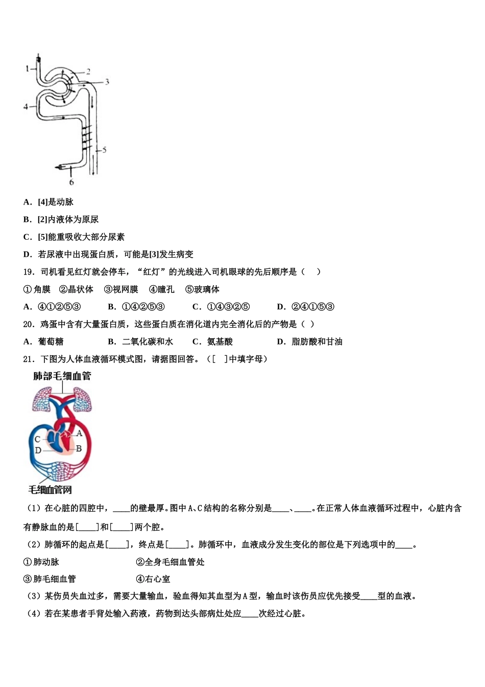 河南焦作市沁阳市2025年七下生物期末复习检测模拟试题含解析_第3页