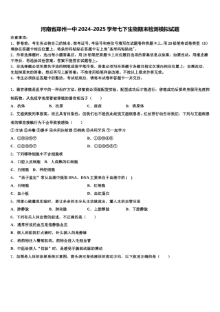 河南省郑州一中2024-2025学年七下生物期末检测模拟试题含解析